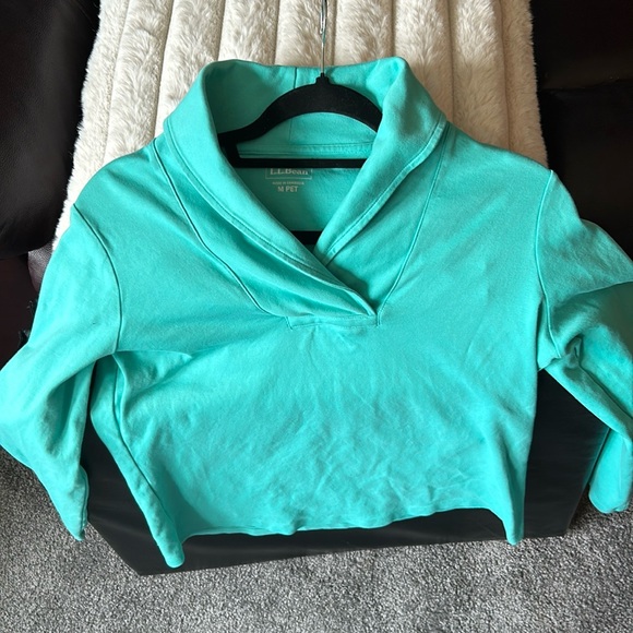 LL Bean Shirt- Gracier Teal color Med Petite - Picture 1 of 6